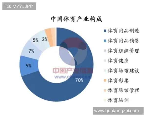 体育产业链全景剖析从基础设施到品牌营销的深度解读