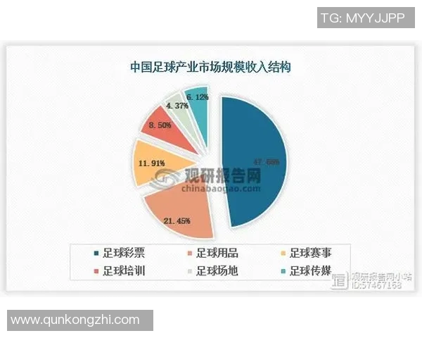 足球世界杯赛事用球技术演变历程与创新趋势分析